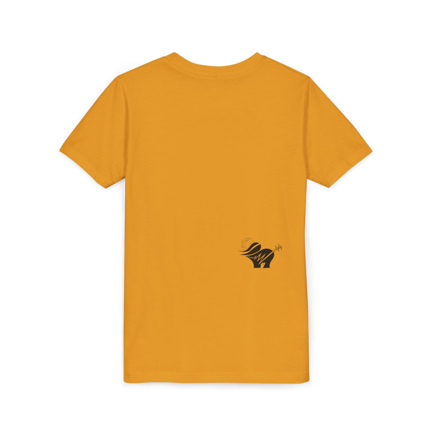 ALNH Youth Short Sleeve Tee Original 2