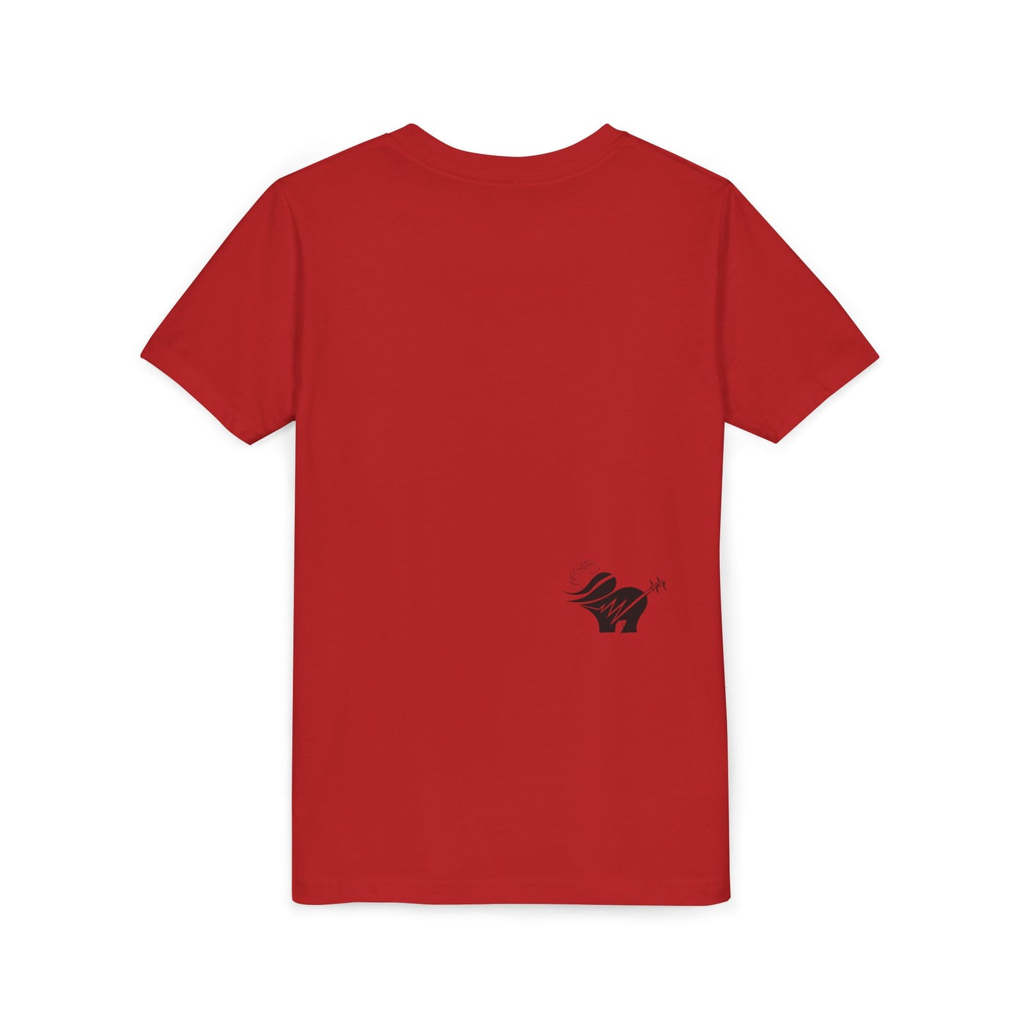ALNH Youth Short Sleeve Tee Original 2