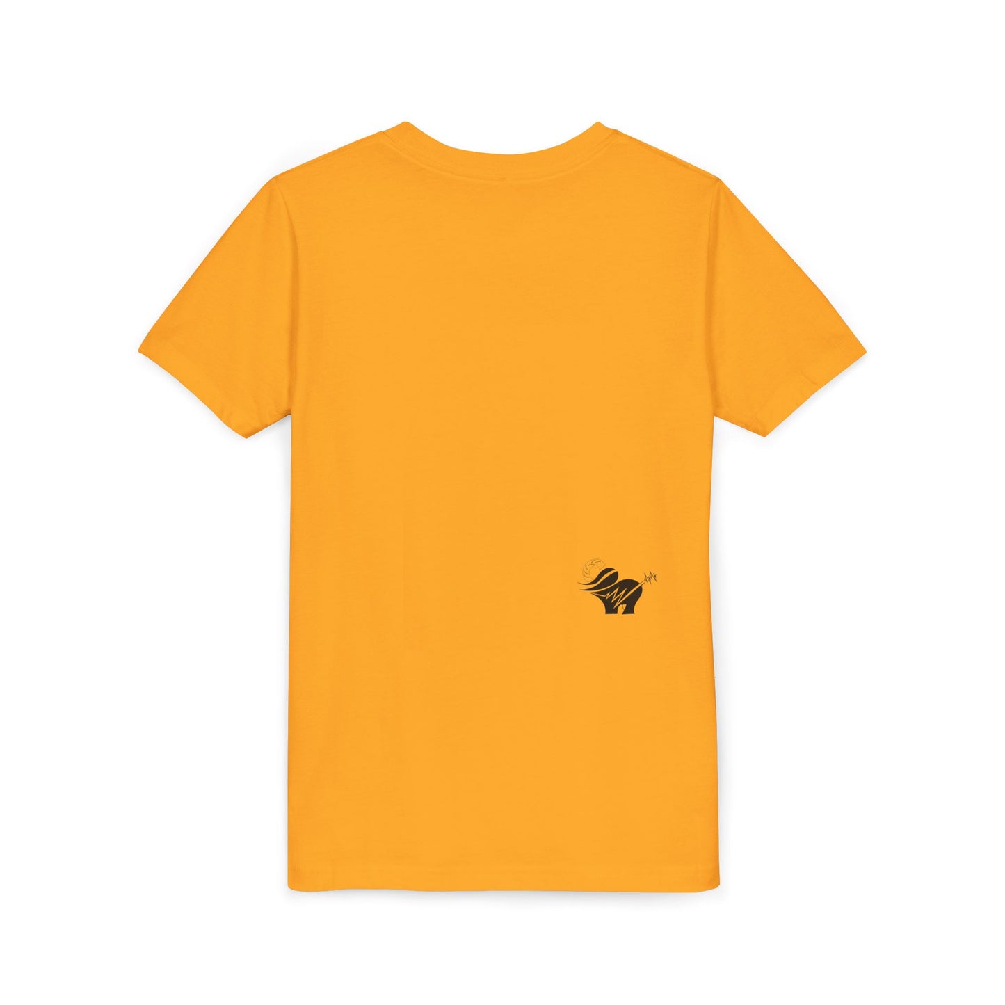 ALNH Original T for Kids