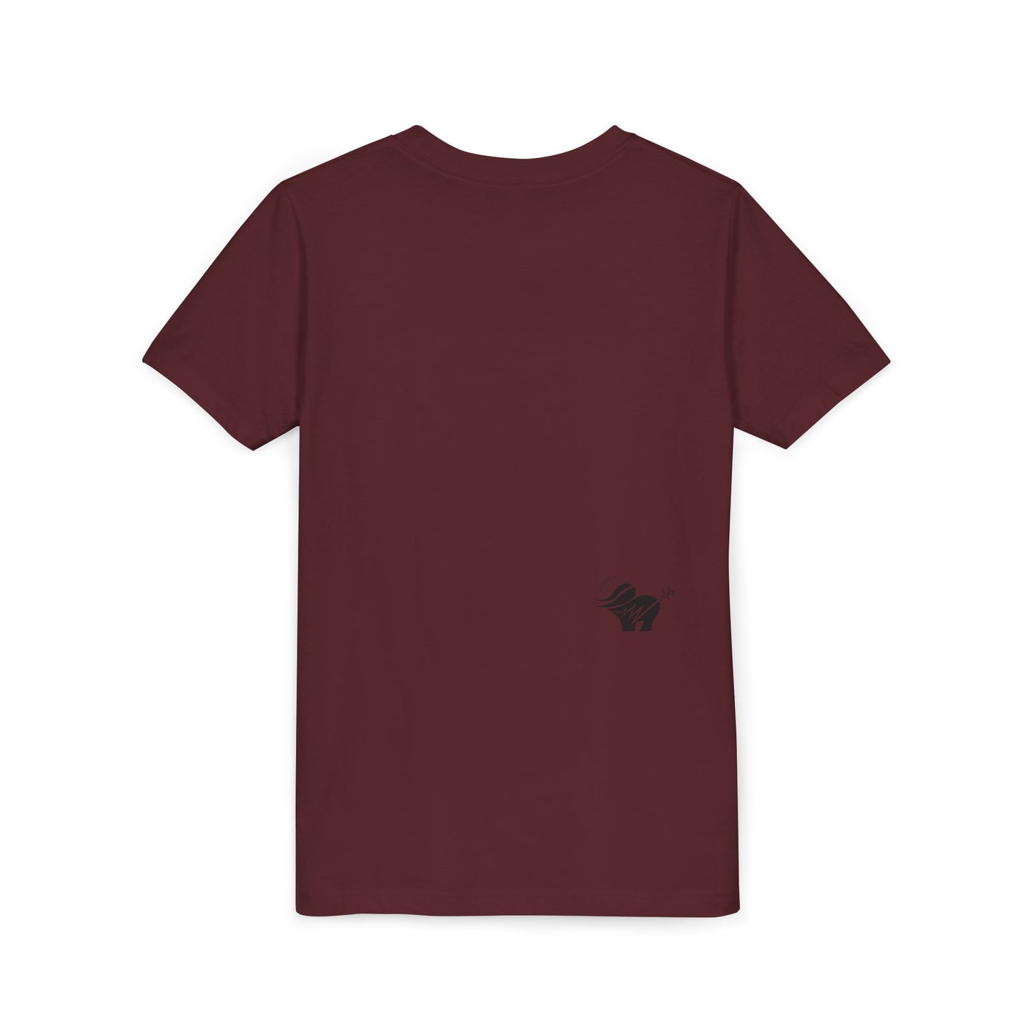ALNH Original T for Kids