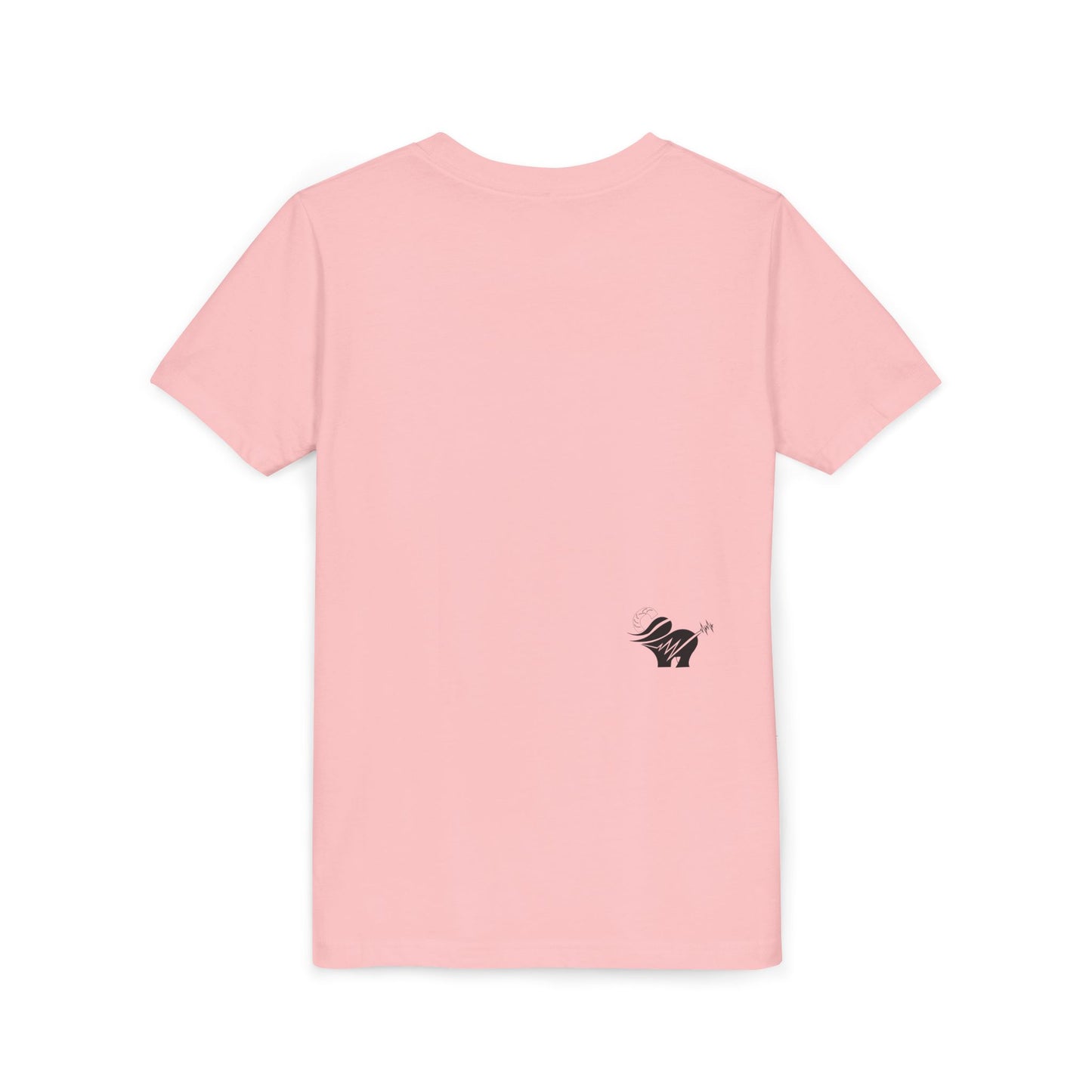 ALNH Original T for Kids