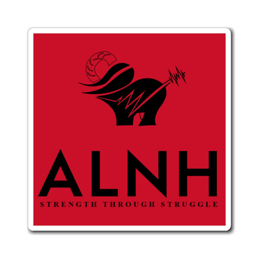 ALNH Magnet