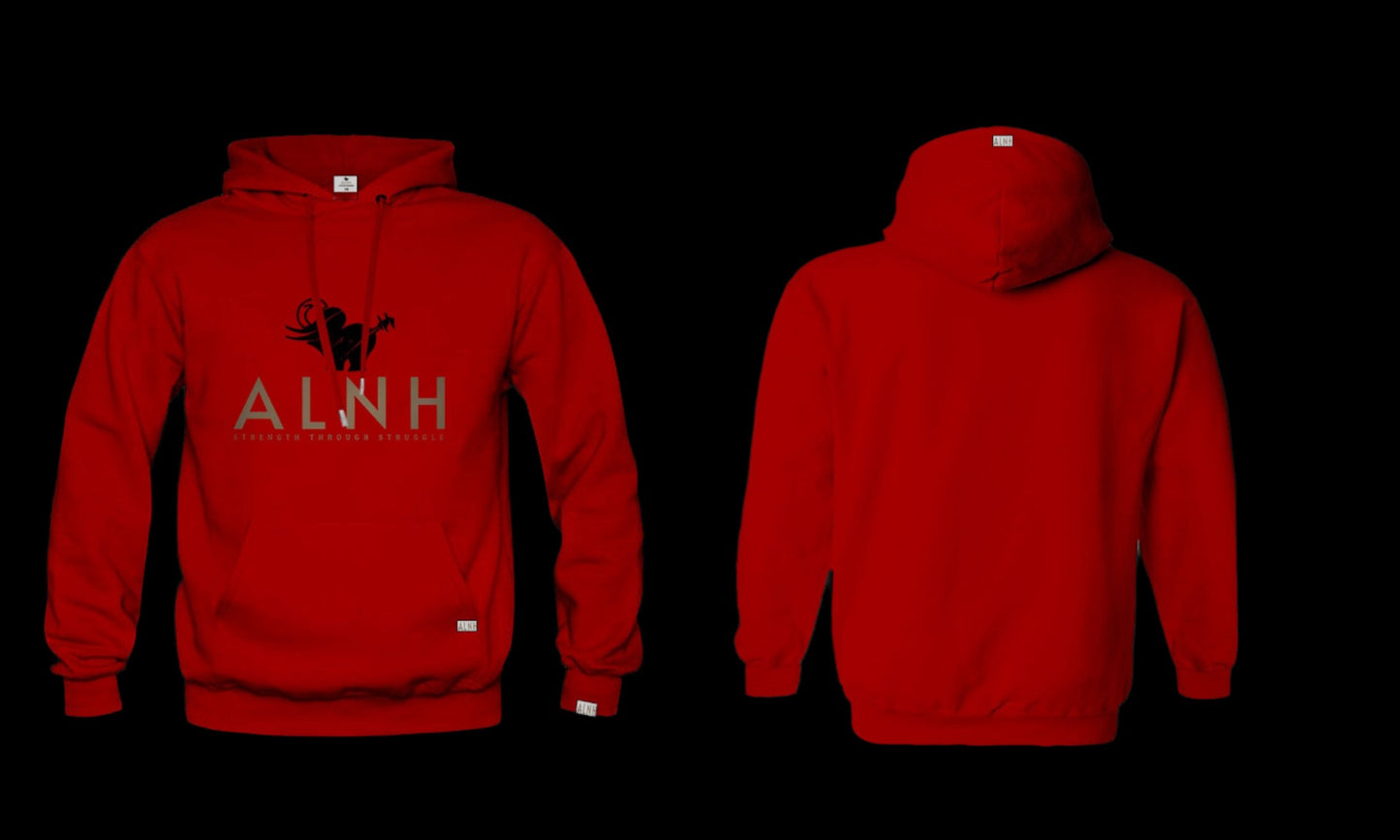 ALNH Jogging Sets (Hoodie and Jogging Pants)